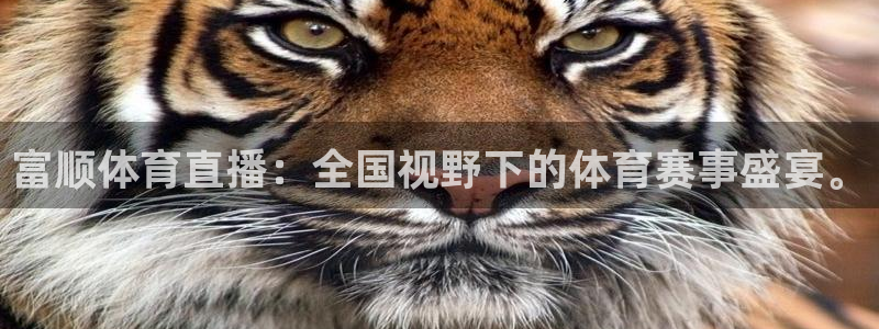 jrs蜘蛛直播球帝带：富顺体育直播：全国视野下的体育赛事盛宴。