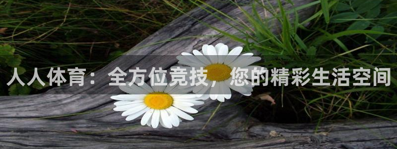 nba直播蜘蛛直播：人人体育：全方位竞技，您的精彩生活空间