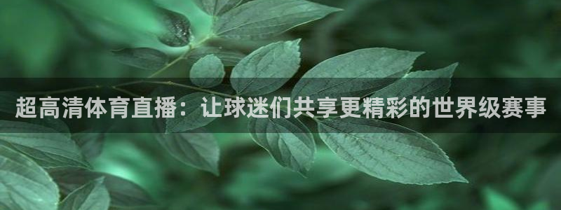 蜘蛛体育直播免费高清在线观看：超高清体育直播：让球迷们共享更精彩的世界级赛事