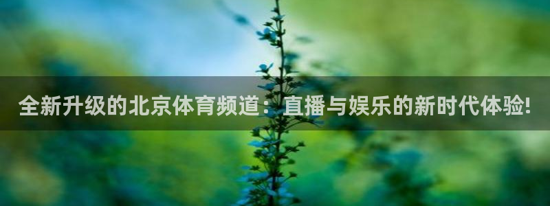 蜘蛛直播体育免费观看：全新升级的北京体育频道：直播与娱乐的新时代体验!