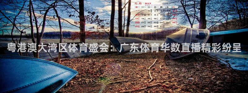 蜘蛛直播体育免费：粤港澳大湾区体育盛会：广东体育华数直播精彩纷呈