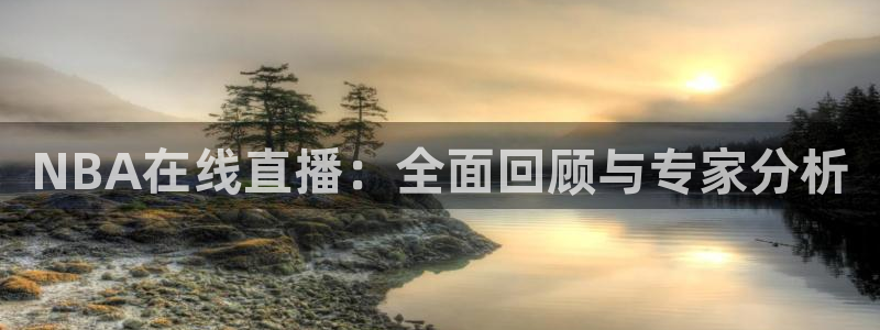 蜘蛛体育nba直播：NBA在线直播：全面回顾与专家分析